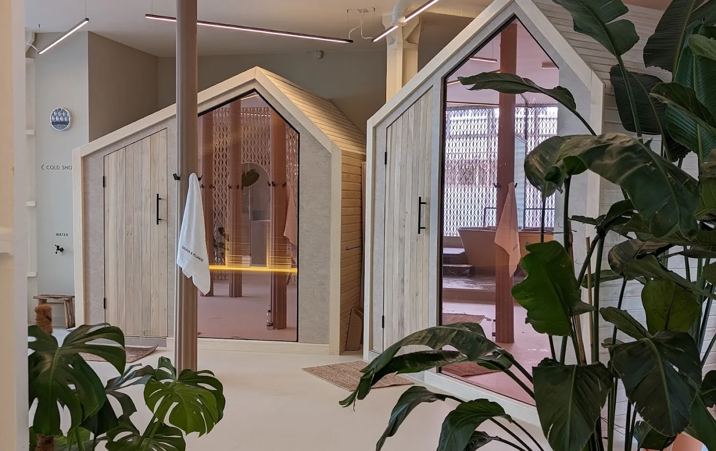 Sauna & Plunge