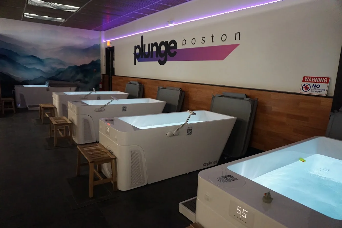Plunge Boston