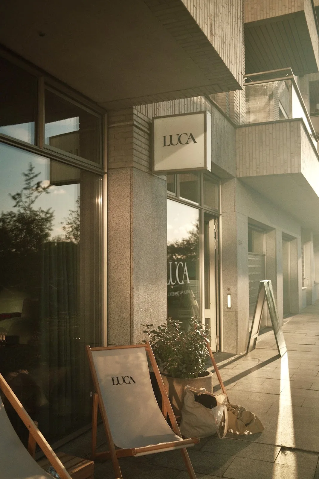LUCA